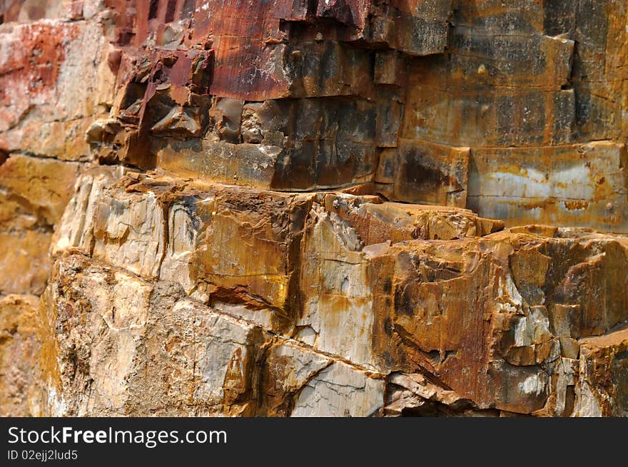 Surface of fossil wood, shown as featured texture, character and color. Surface of fossil wood, shown as featured texture, character and color.