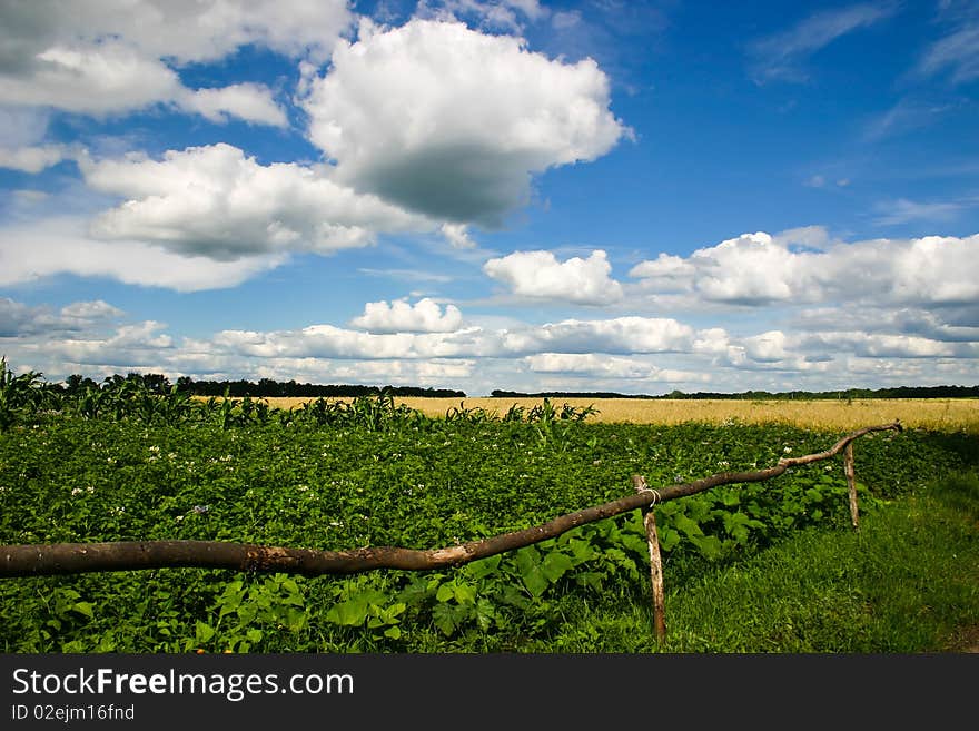 Agriculture