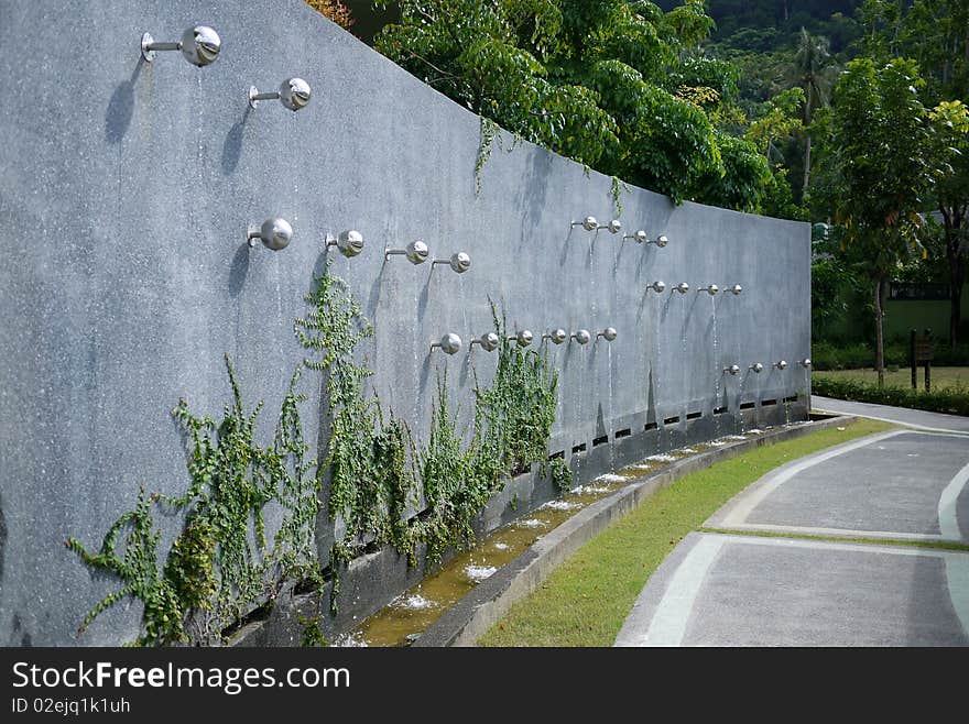 Fountain Wall with growing vegetation