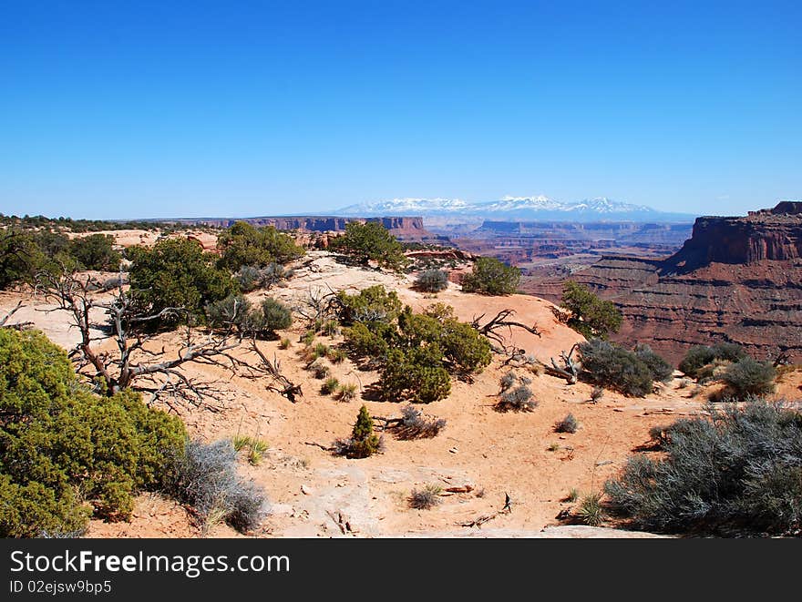 Canyonlands National Park near Moab, Utah: the view near visitor center