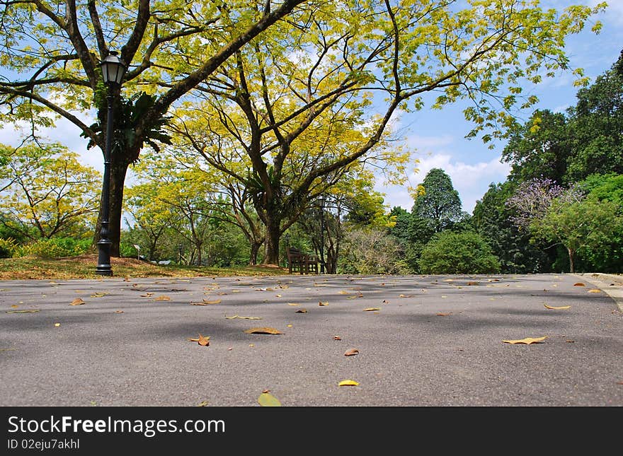 Botanical Gardens