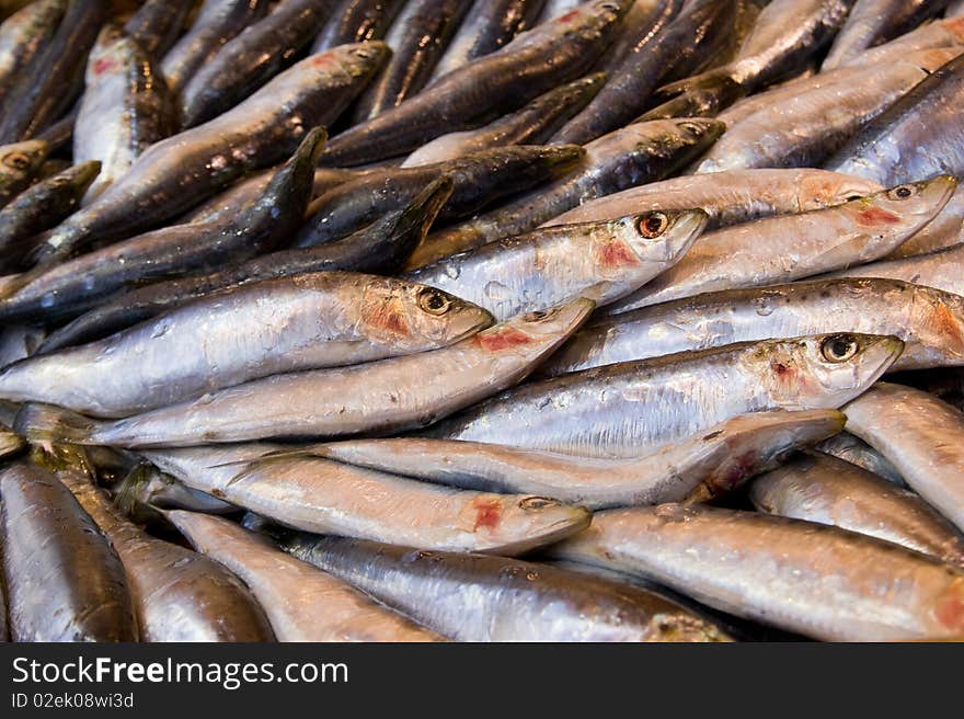 Fresh fish at the marketplace