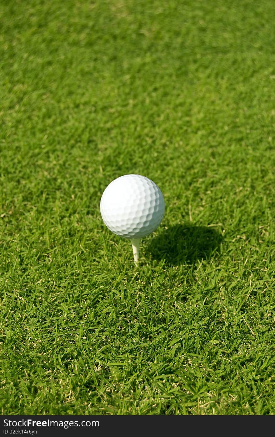 Golf ball on white tee on golf course