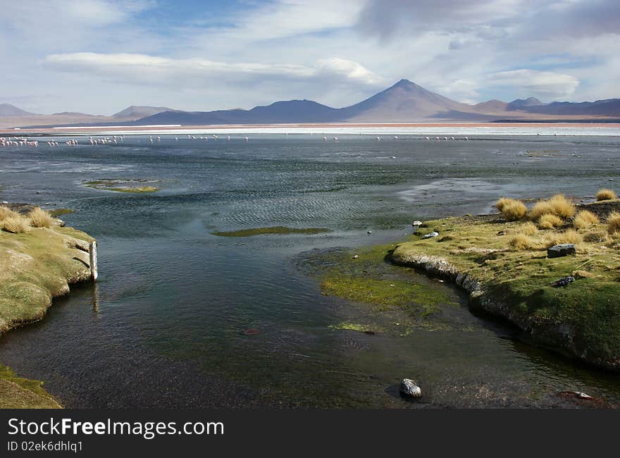 Salar lake