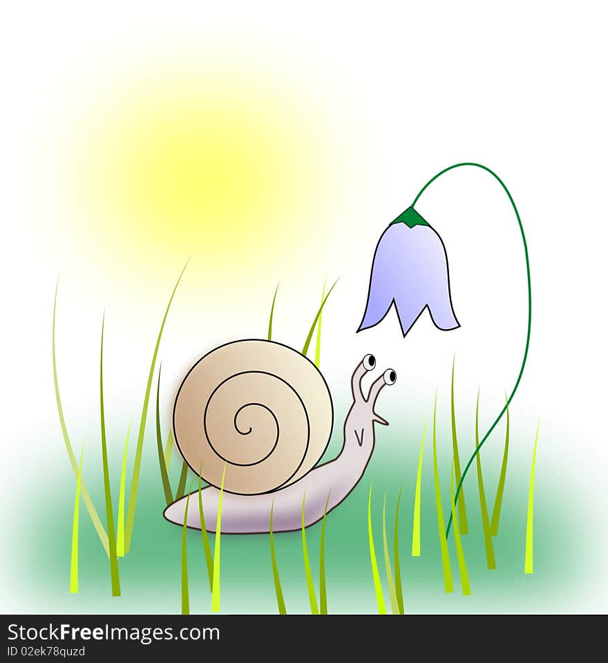 A snail looking at a bluebell. A snail looking at a bluebell.