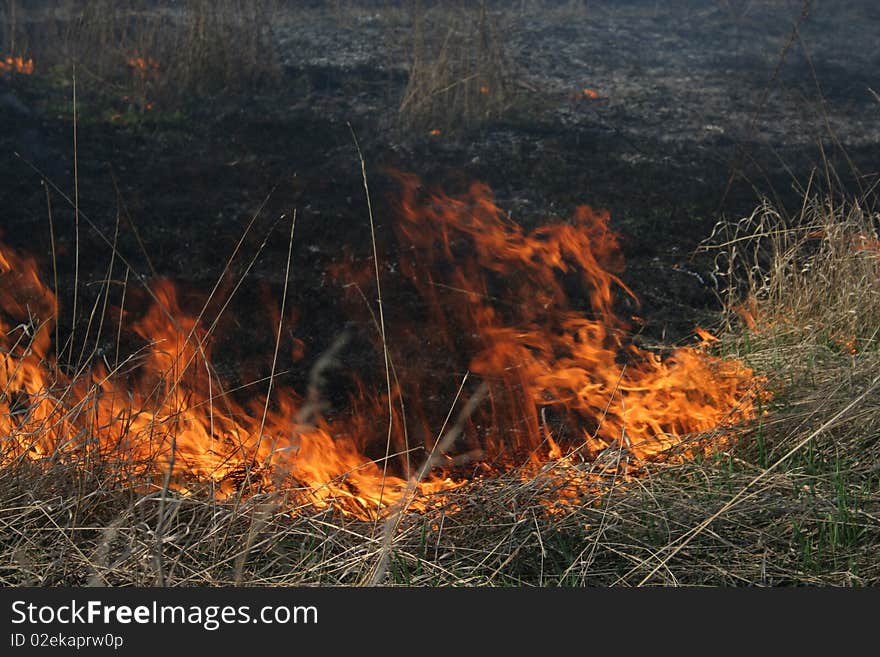 Burning grass, fire in the field, scorched ground. Burning grass, fire in the field, scorched ground