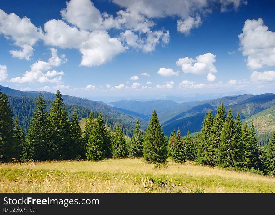 Mountain landscape in the summer