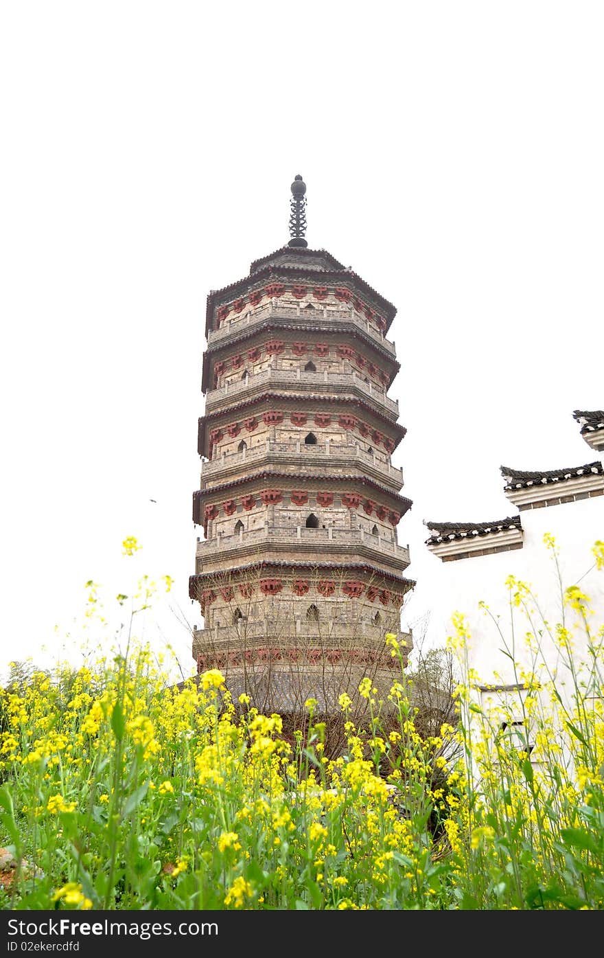 Ancient pagoda with rapeseed blossom in Anhui,China