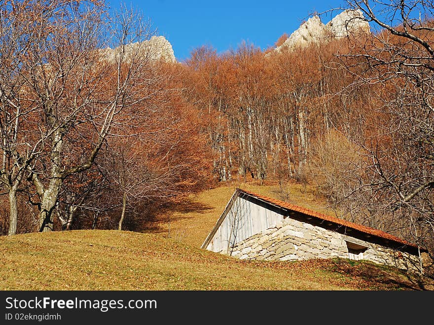 Autumn landscape in romanian Carpathians