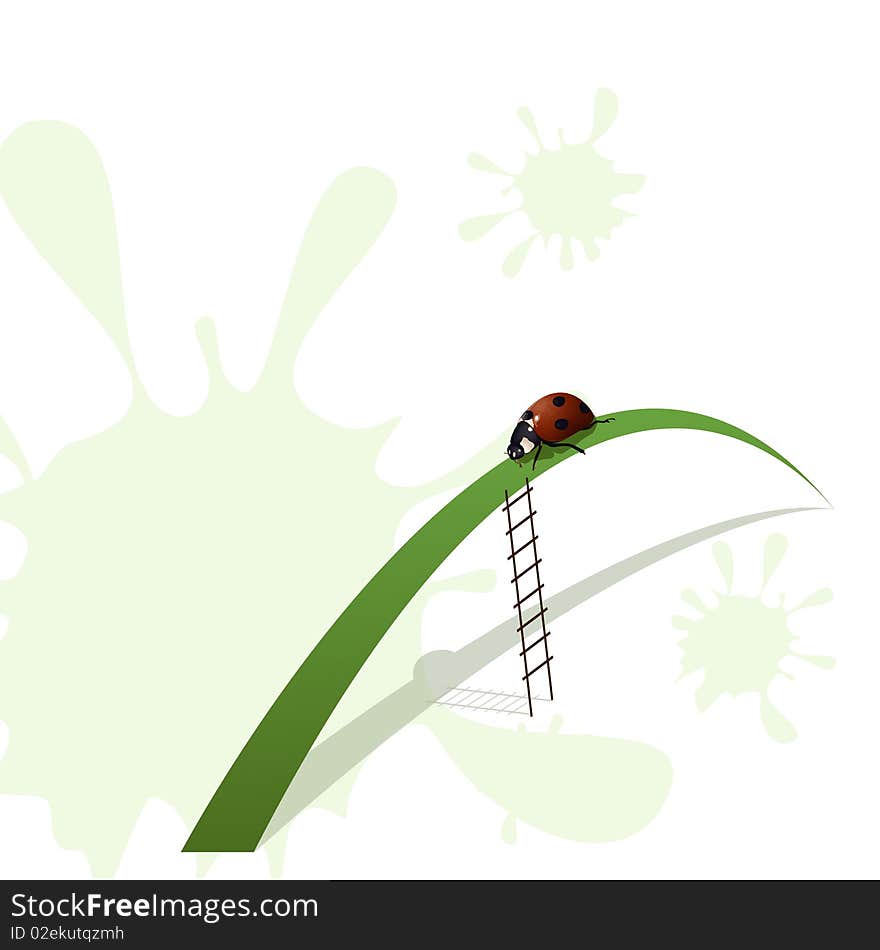 Ladybird And Stairway