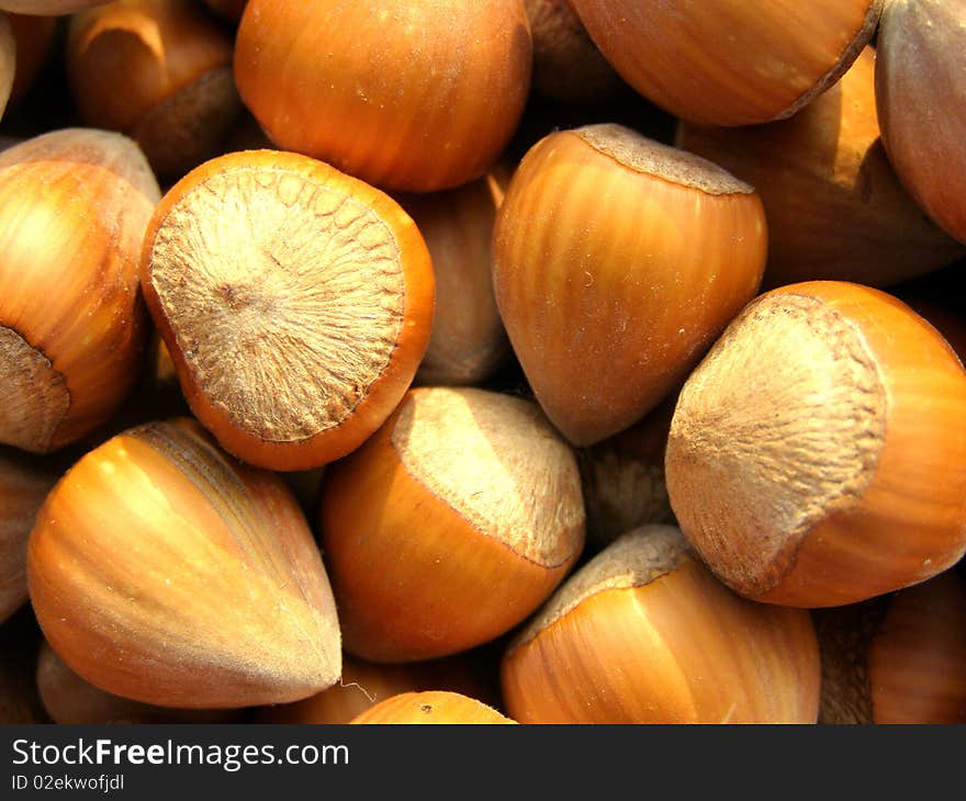 Photo of beautiful mass of hazelnuts from orchard. Photo of beautiful mass of hazelnuts from orchard