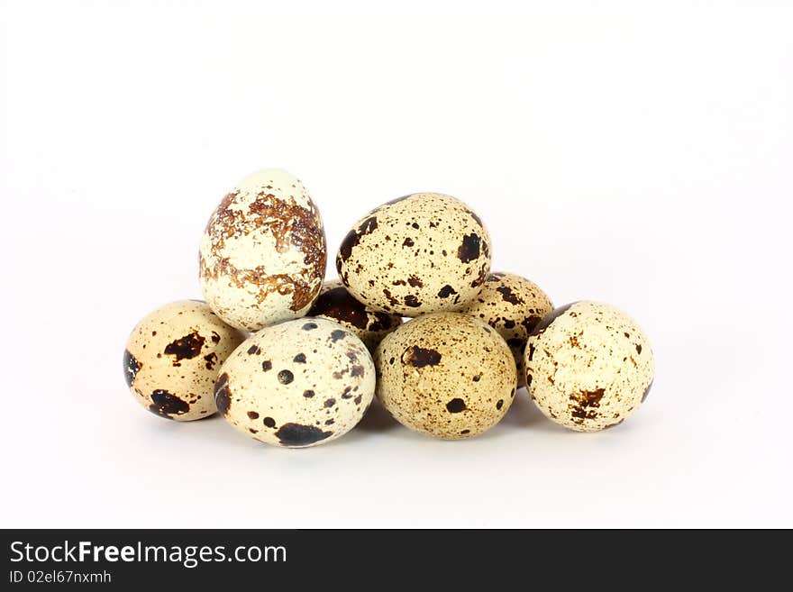 Eggs Of Japanese Quail