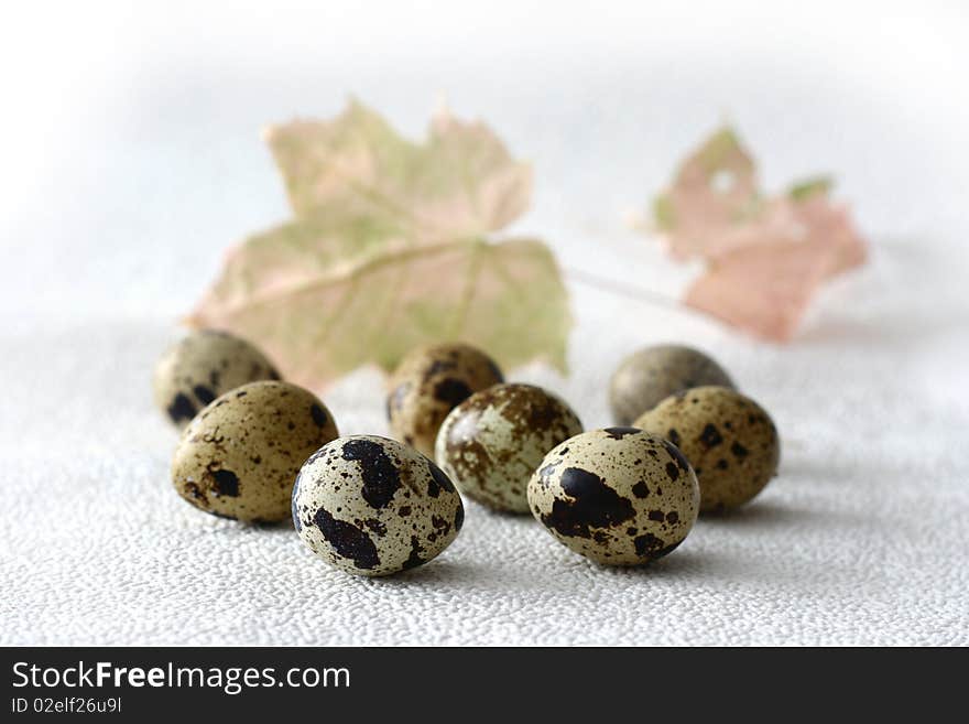 Quail eggs