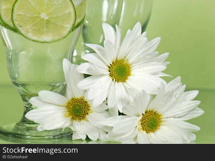 Lime slices in ice water with daisy bouquet. Lime slices in ice water with daisy bouquet.