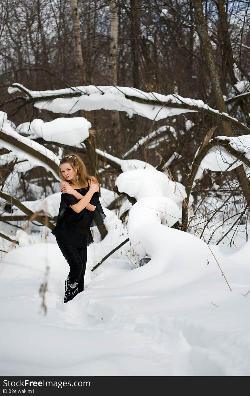 Fashion model  in winter wood