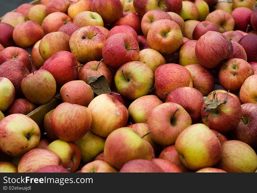 Fresh organic apples at a local farmer's market. Fresh organic apples at a local farmer's market.