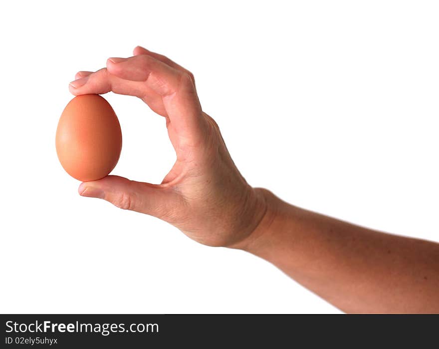 Hand holding brown egg