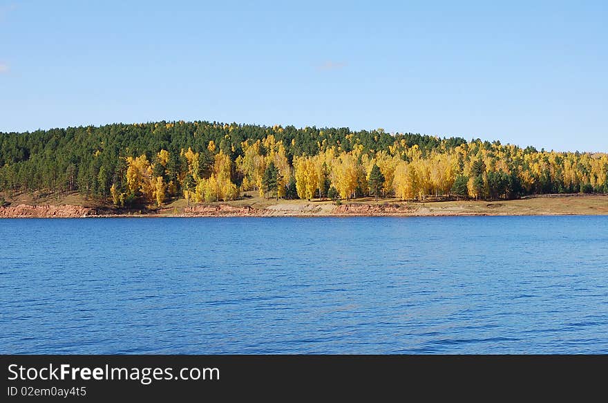 River And Autumn Forest