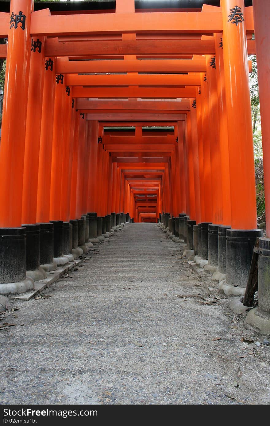 Red Torii Gates Japan