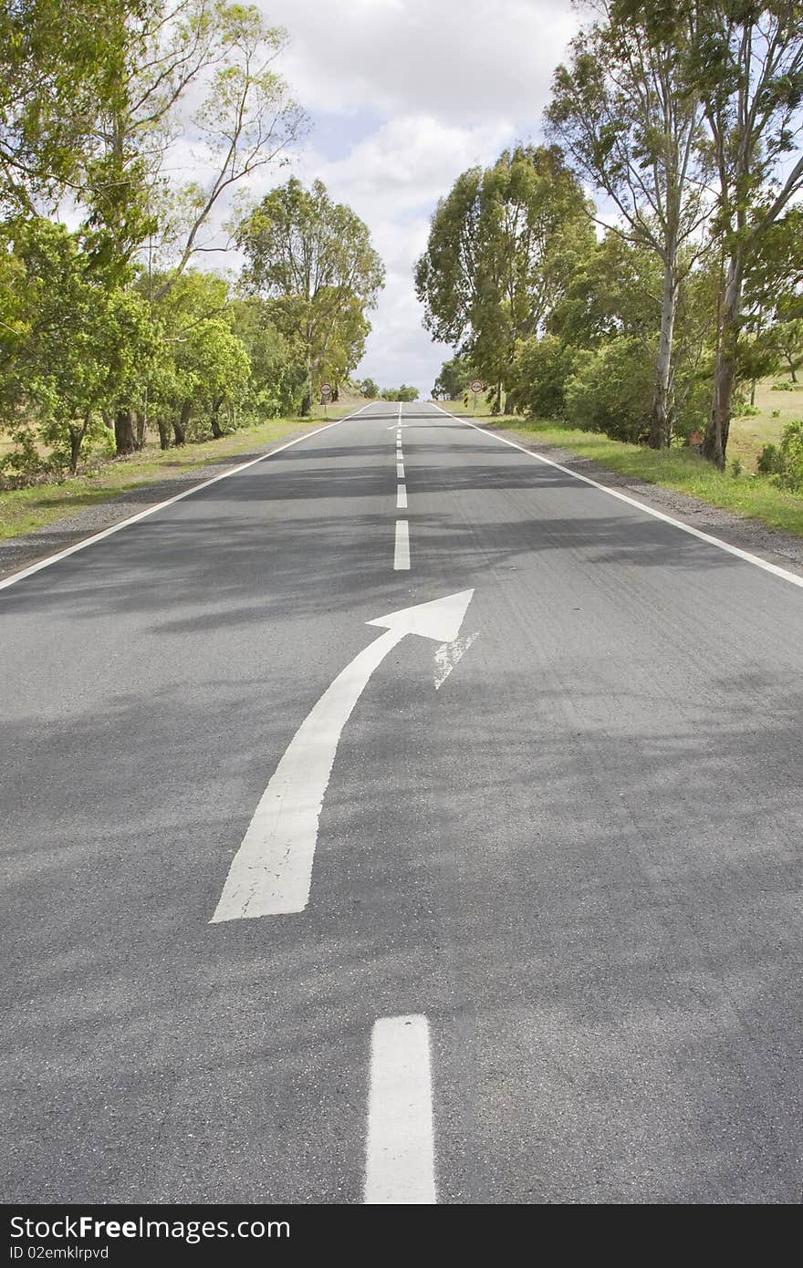 Empty countryside road among trees and fields at summer day (Freedom concept)