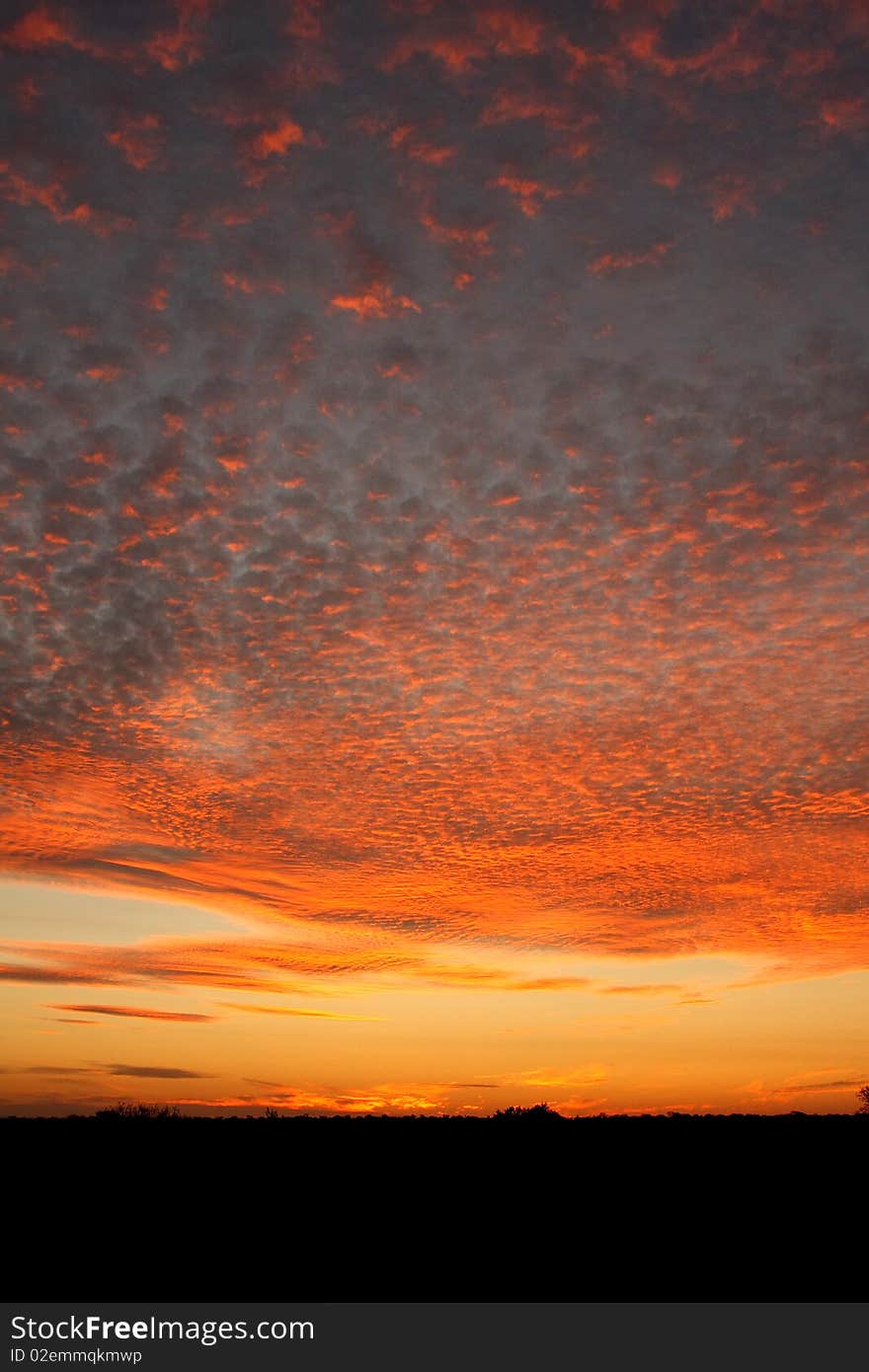 African Sunset, Sabi Sand Reserve