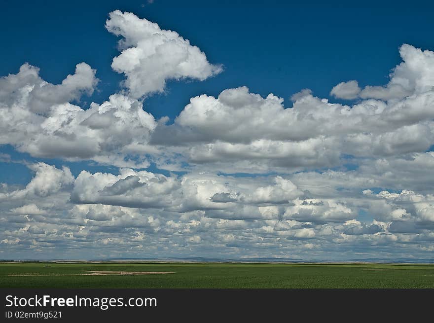 Fluffy white clouds in deep blue sky over green prairie corp or pasture land. Fluffy white clouds in deep blue sky over green prairie corp or pasture land