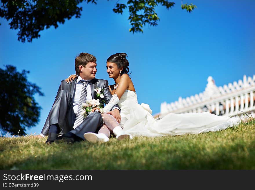 Happy bride and groom on grass in park on background of sky. Happy bride and groom on grass in park on background of sky