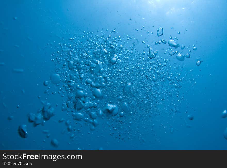 Bubbles from a SCUBA diver rising to the surface