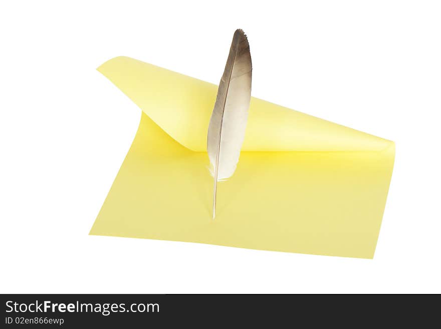 Feather standing on yellow paper sheet. Isolated on white with clipping path. Feather standing on yellow paper sheet. Isolated on white with clipping path