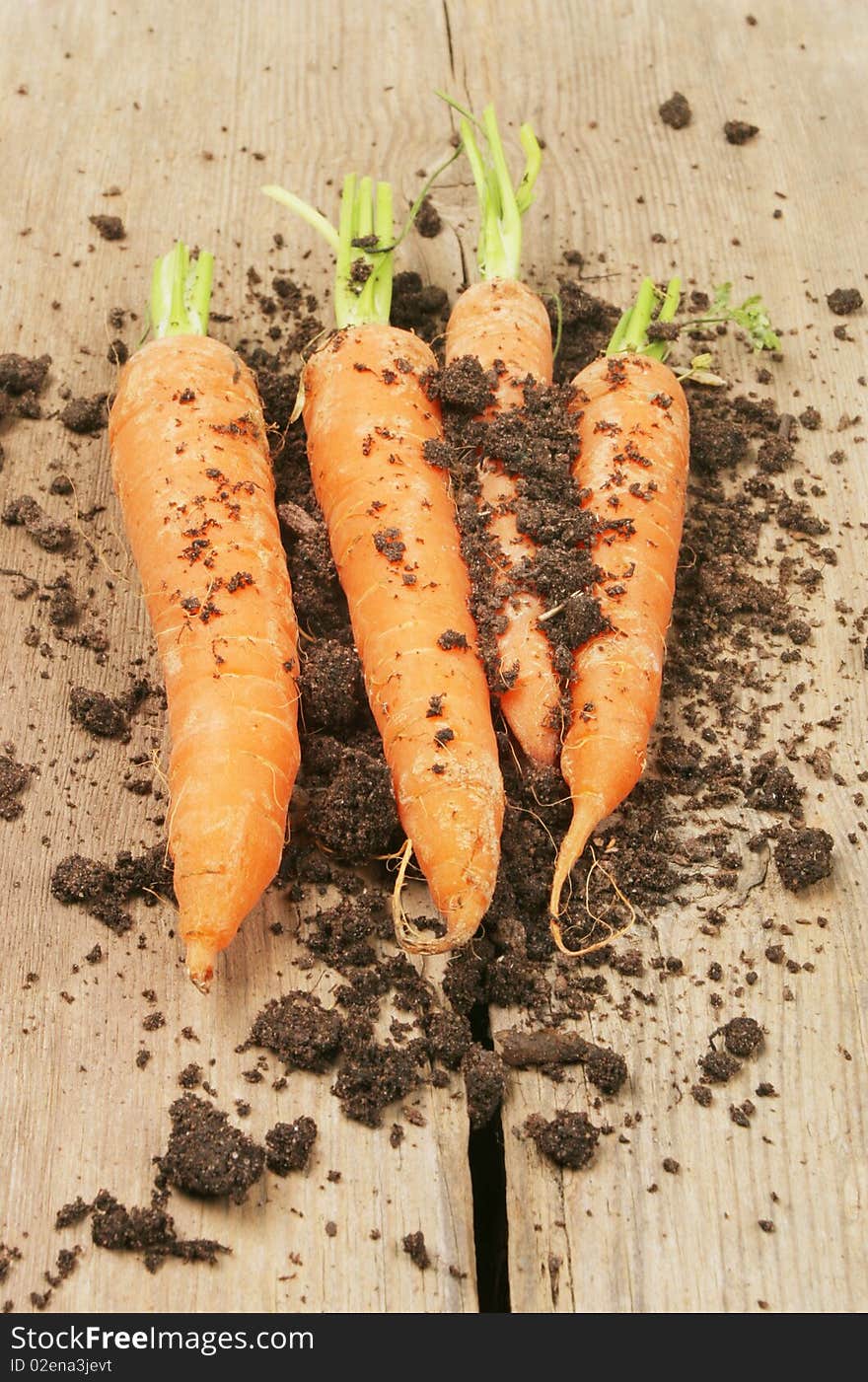 Carrots and soil on wood