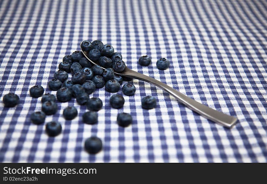 Fresh Blueberries