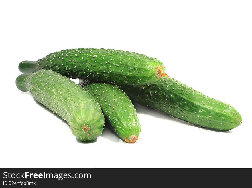 Cucumber