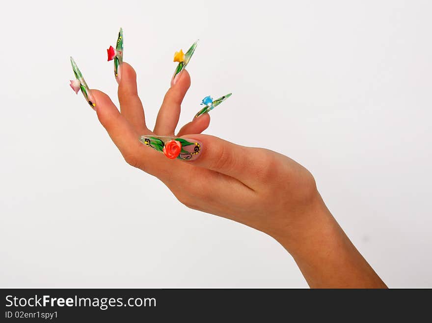 Nails hands, woman gentle, flower, accurate, manicure dangerous