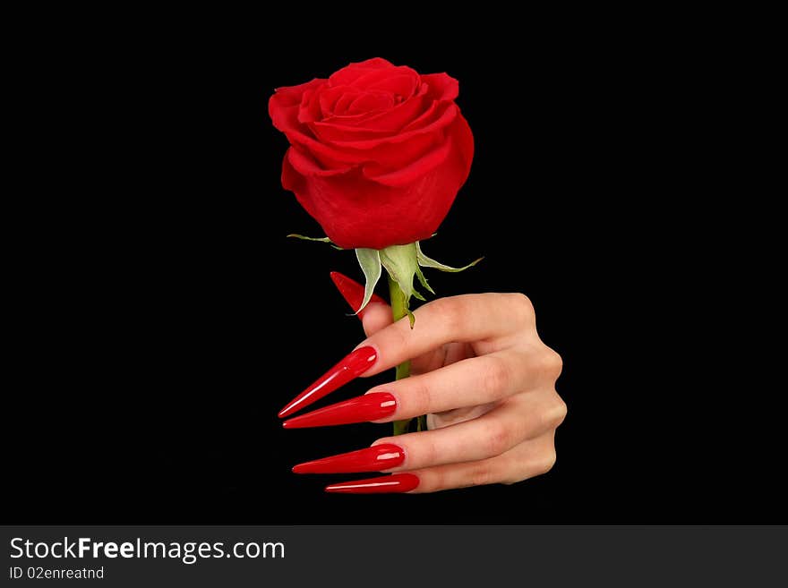 Nails hands, woman gentle, flower, accurate, manicure dangerous