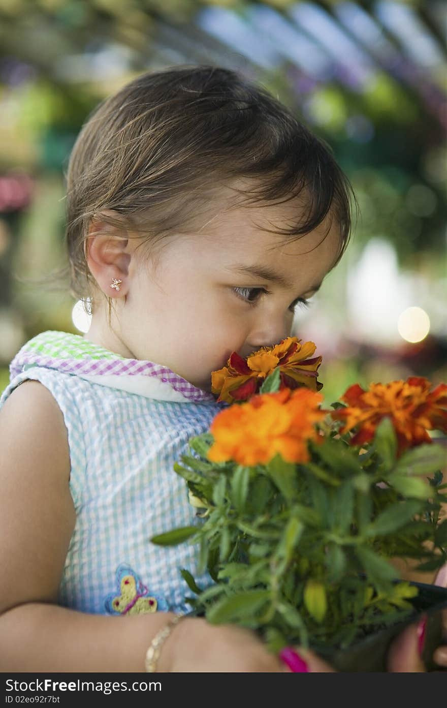 Young girl smelling marigold flowers