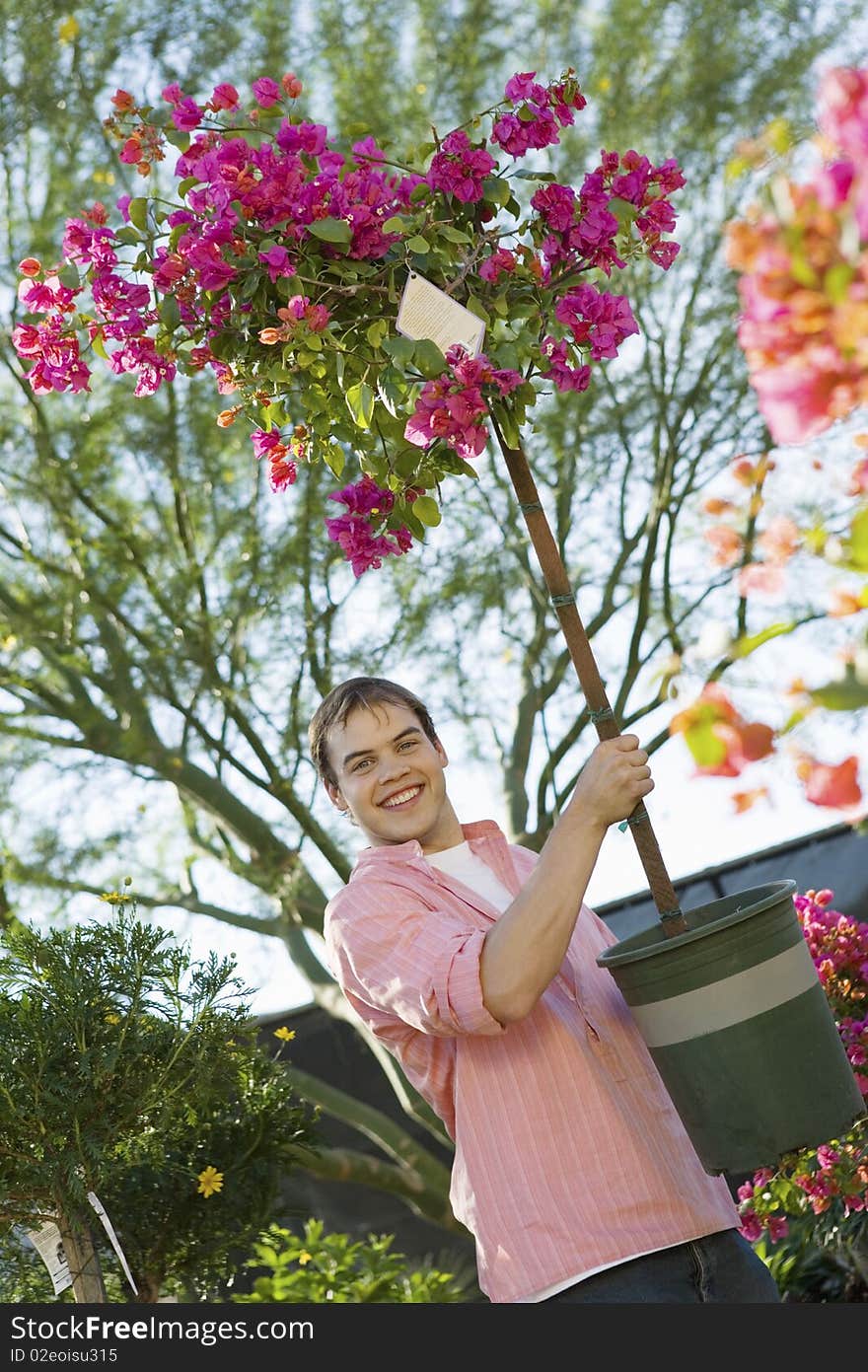 Man Holding Small Flowering Tree In Pot