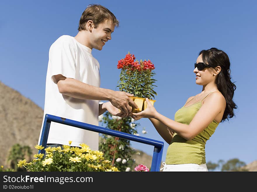 Young couple choosing potted flowers