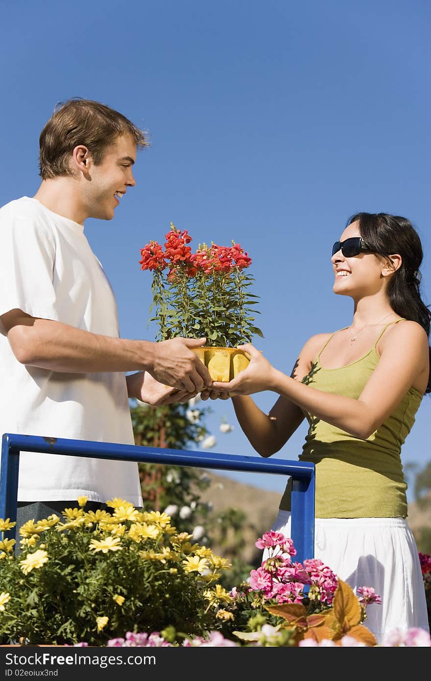 Young couple choosing potted flowers