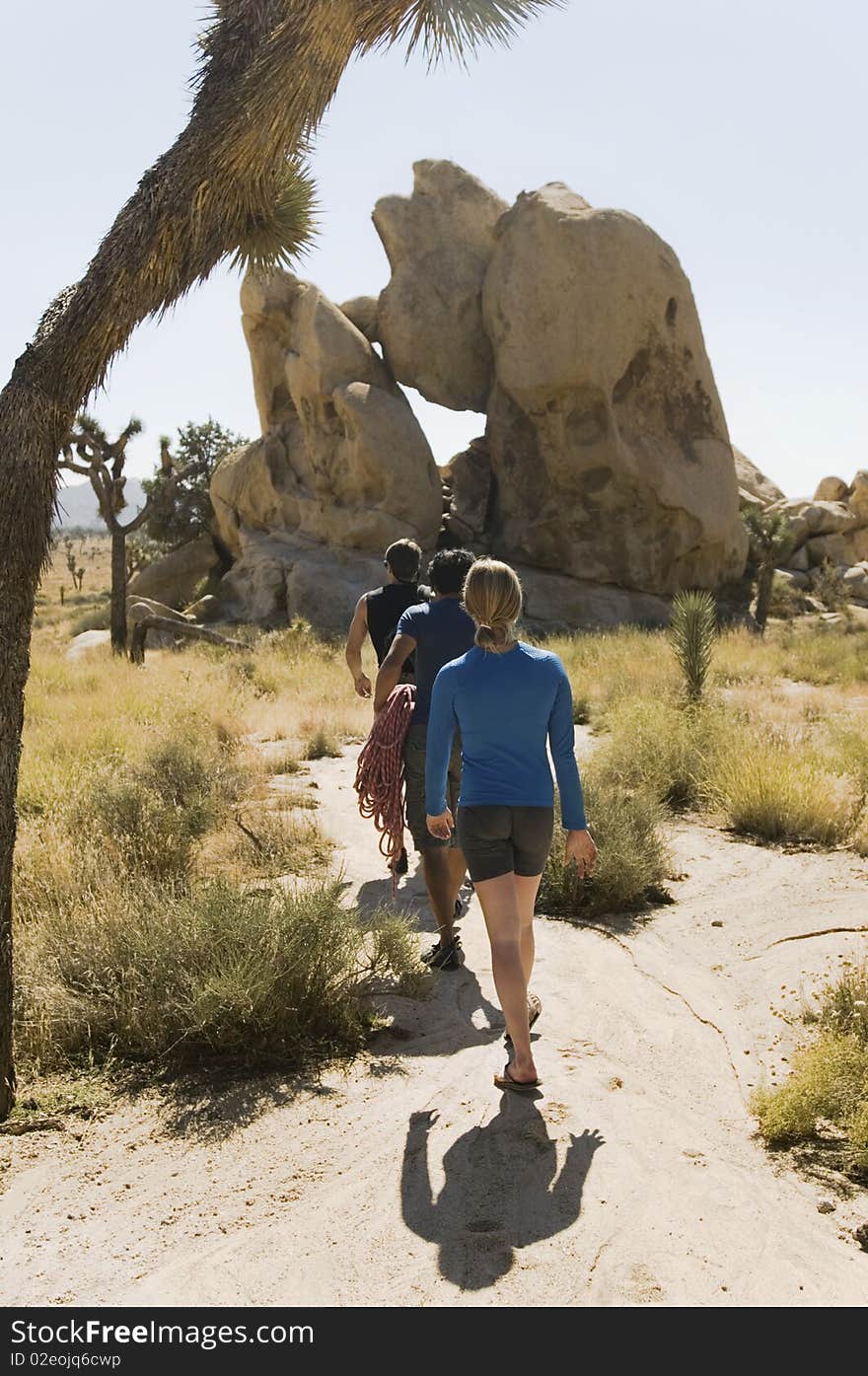 Three people walking through desert, back view