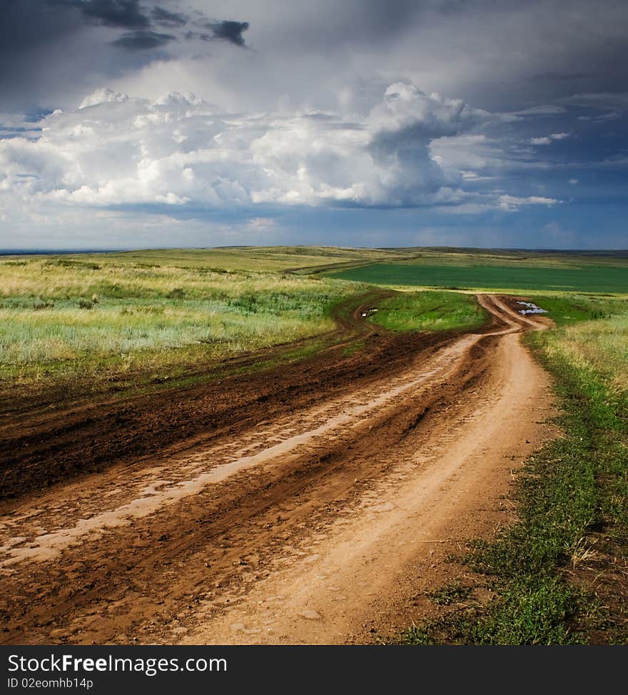 Road nature landscape tree outdoors