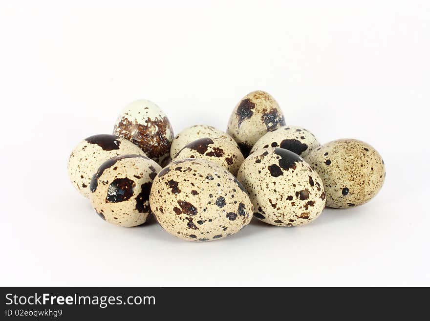 Eggs of japanese quail