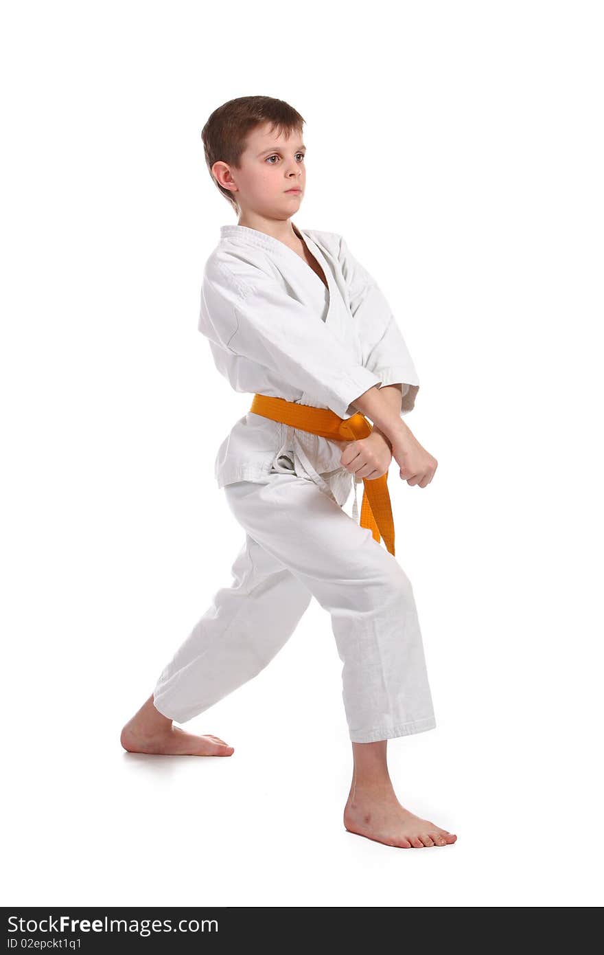 Little boy practice karate isolated on white background
