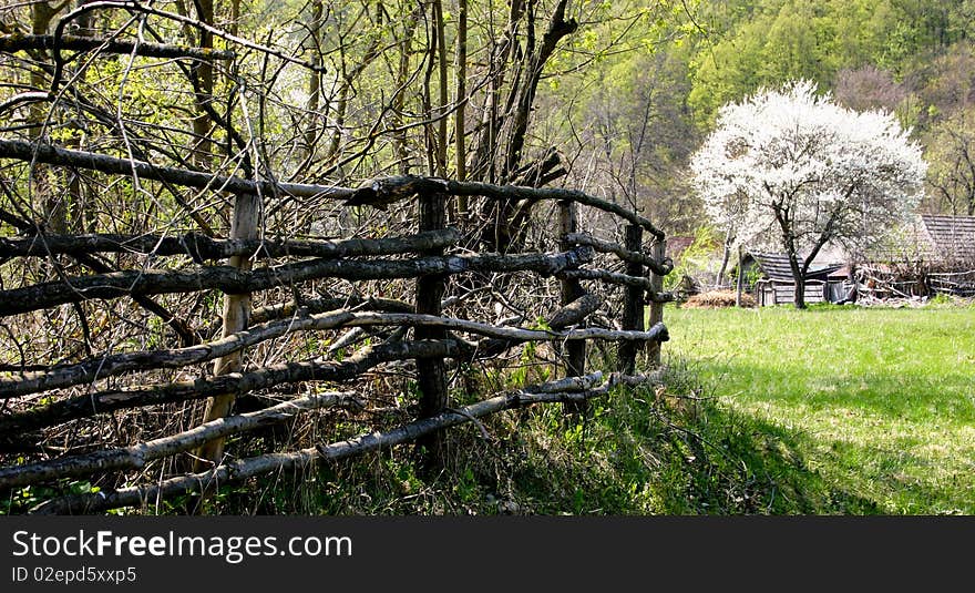 An image of small village in spring