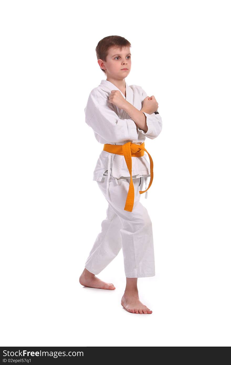 Little boy practice karate isolated on white background