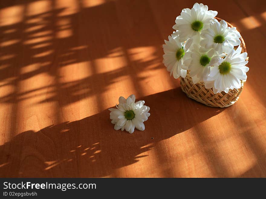 An image of white flowers on a table