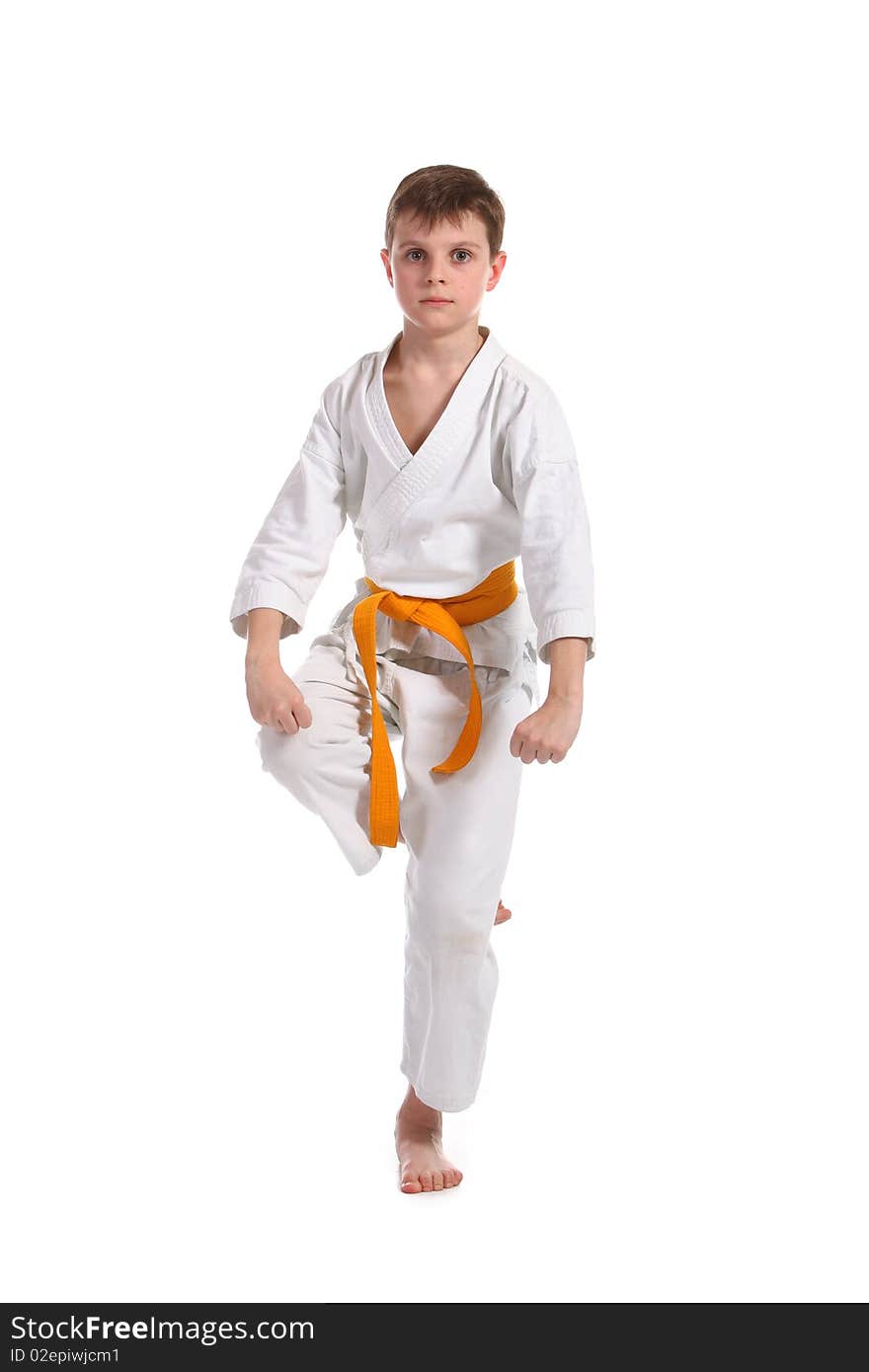 Little boy practice karate isolated on white background