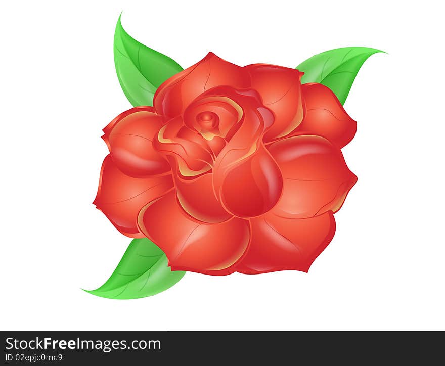 Red rose with three leaves vector