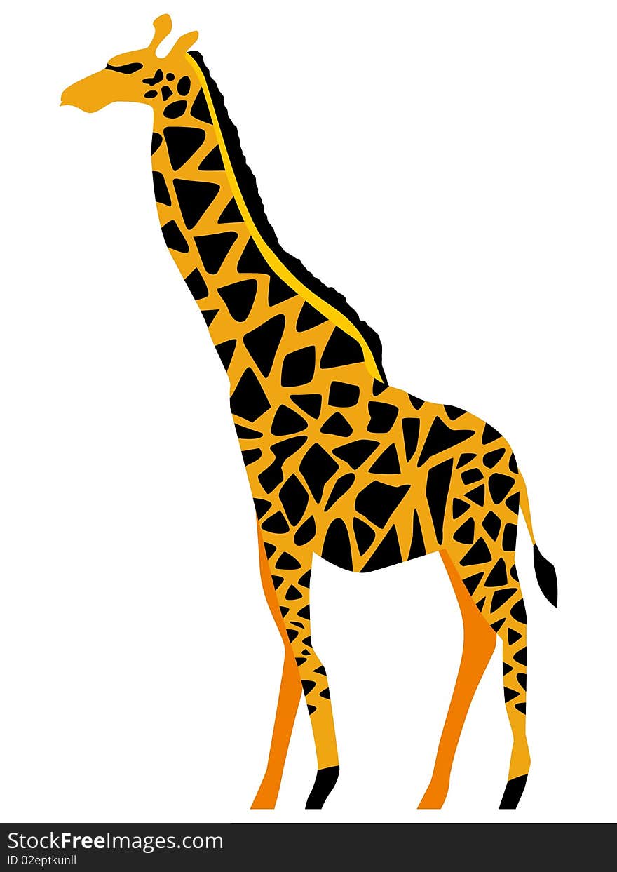 Colored vector illustration of giraffe