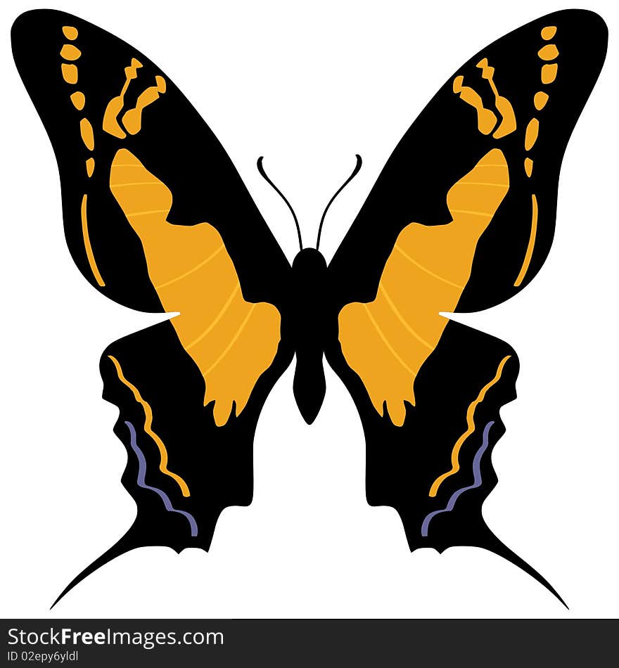 Vector illustration of Swallowtail butterfly