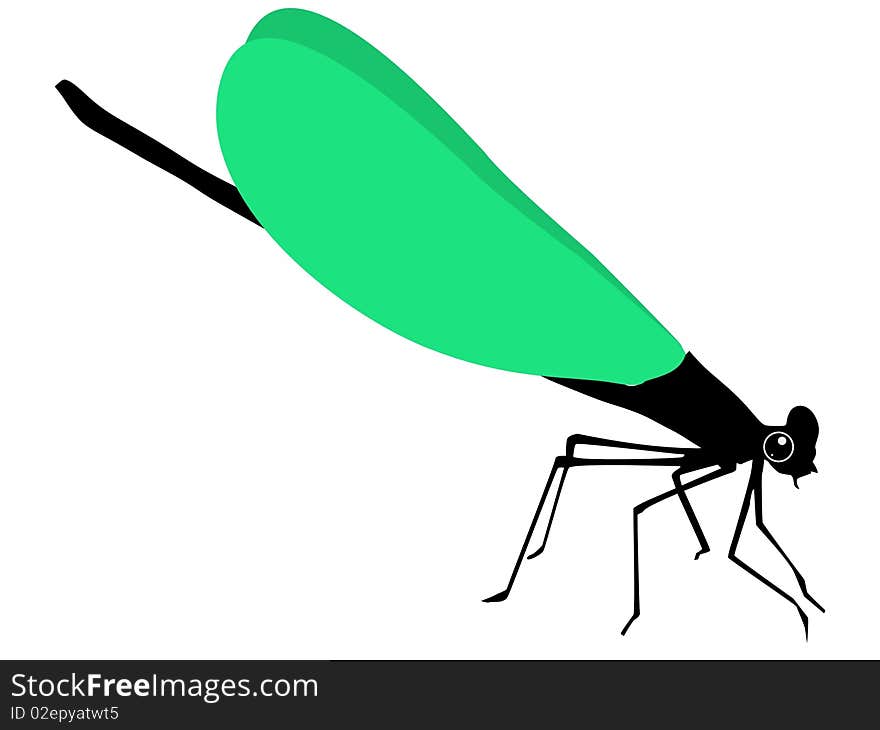 Colored vector illustration of dragonfly